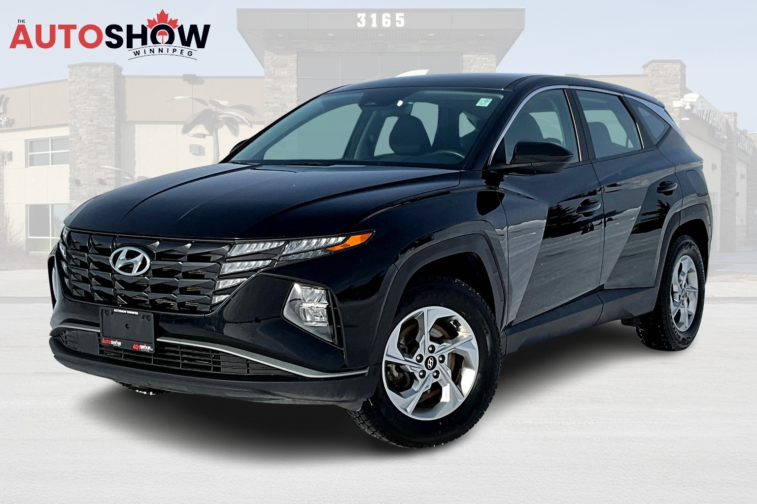 used 2023 Hyundai Tucson car